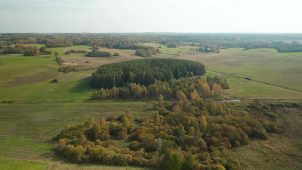 AERIAL: Landscape of Forest in Europe During Autumn Season