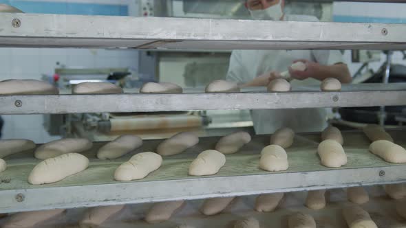 Bakery Baking Bakery, The Employee of the Bakery Spreads the Bakery Products Created From the Dough alt