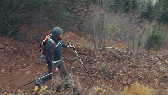 Hiking Trail Topview In Washington Fall Season alt