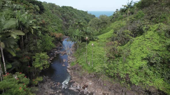 Aerial forward dolly shot tracking jungle river towards Pacific Ocean alt