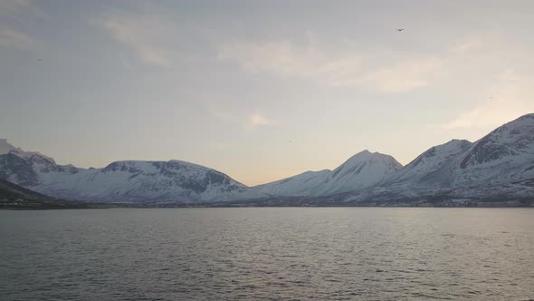 Aerial drone push in as seagulls fly past sunset sky, Norway Winter. alt