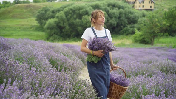 Smiling Happy Female Florist Gardener Walking on Spring Lavender Field with Basket and Flowers and alt