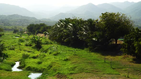 Majestic foggy mountain landscape and tropical plants in foreground, Vietnam. Pan left view alt