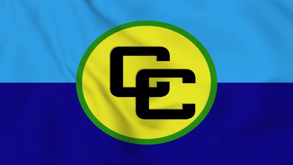 CARICOM  flag seamless closeup waving animation.   Vd 2056