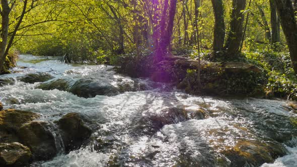 Streams of Water Flood the Green Biotope and Form Small Cascades to Lower Lake alt