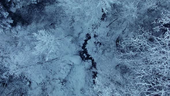 December Christmas Season Snow Winter Weather Background alt