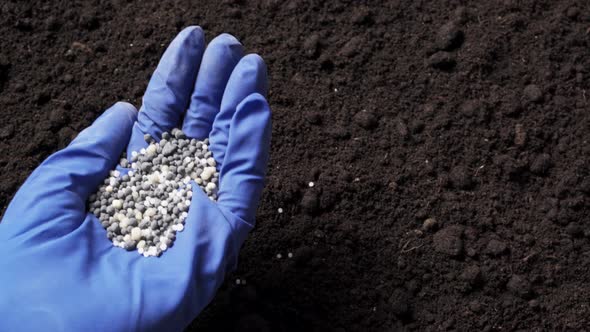 Mineral Fertilizer in Hand alt