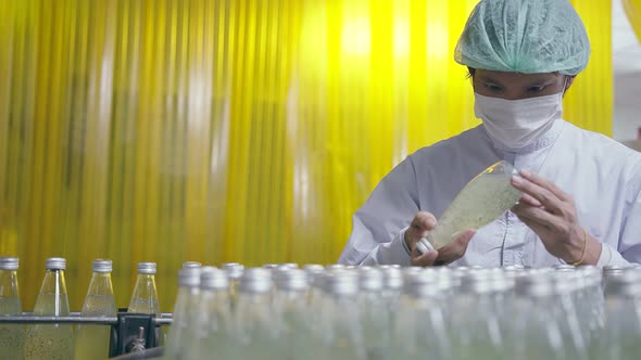 Asian male supervisor inspecting a bottle of herb drink production line alt