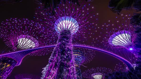 Singapore Light Show in Gardens by the Bay