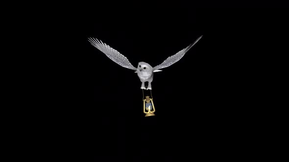 White Owl With Golden Lantern - Flying Transition III - Alpha Channel