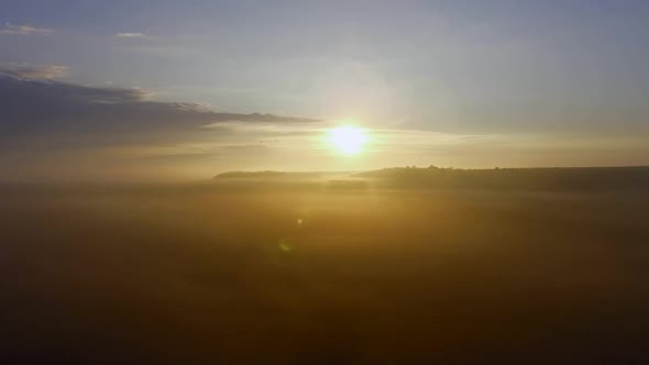 Flight Over a Field with Wheat