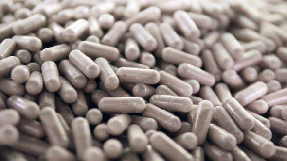 Capsules with Powdered Medicine are Moving in a Pile alt