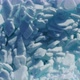 Ice Ridges on Lake Baikal - VideoHive Item for Sale