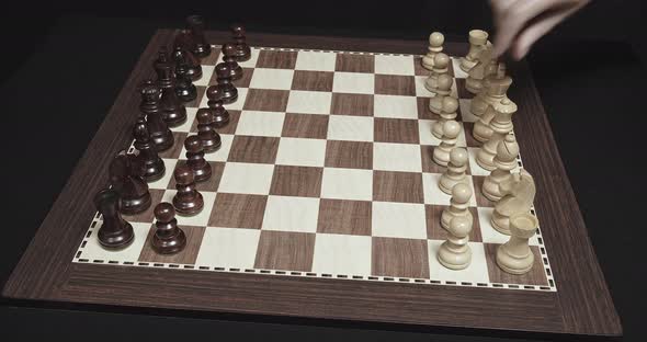 Opening Chess Game with Pawns Chess Game alt