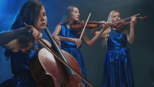 String Trio, Women Playing on Violins and Cello at Concert