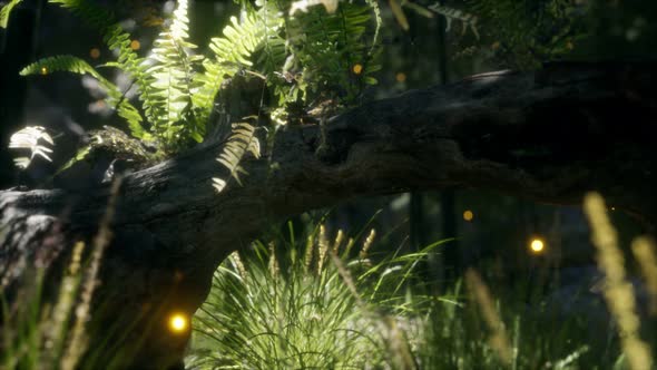 Horizontally Bending Tree Trunk with Ferns Growing, and Sunlight Shining alt