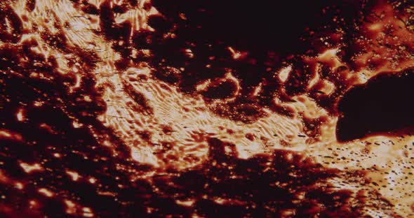 Black liquid forming abstract forms on a bright orange surface. alt