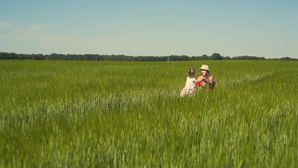 Slow Motion Young Mother Plays with the Child in the Field Dressed in Red Dress The Daughter Goes to alt