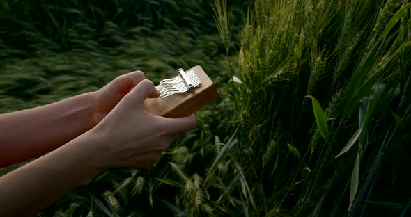 Woman Is Playing on Kalimba Oldest Musical Instrument, Close-up Hands in Background of Green Field alt