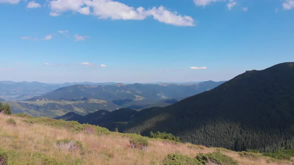 Beautiful Mountainous Area. Forest in the Mountains. View From Above. Trees Grow on Hills. Ukrainian