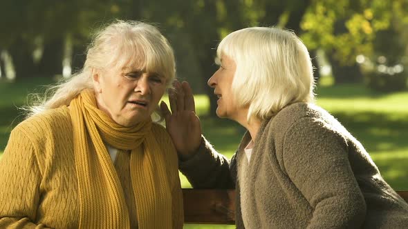 Old Friends Gossiping in Park, Discussing Election Candidates, Scandalous News alt