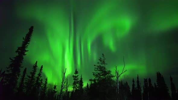 Aurora Borealis Lights Northern Alberta, Resembling To Alaska Lights alt