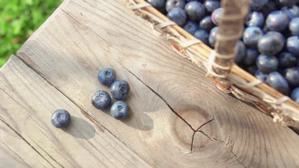 Blueberrie Fall on a Wooden Table alt
