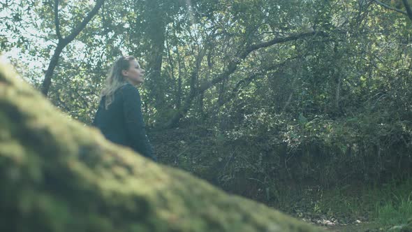 Hiking in the Forest alt