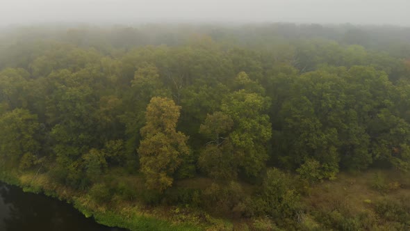 Aerial: Autumn Forest in the Morning in the Fog By the River alt