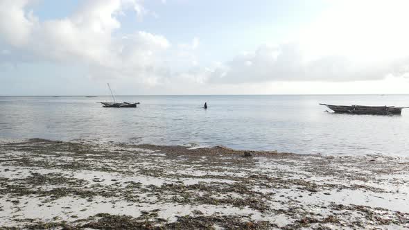 Lonely Woman Walking on the Beach at Low Tide Low Tide in Zanzibar Slow Motion alt