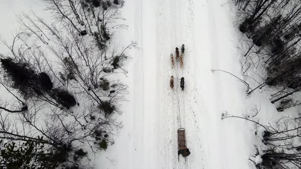 Drone Aerial View of Dogsledding Handler with Team of Trained Husky Dogs Mountain Pass Husky Dog alt