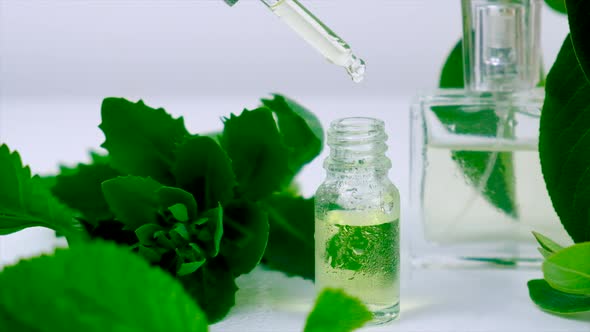 Herbal Extract in a Bottle alt