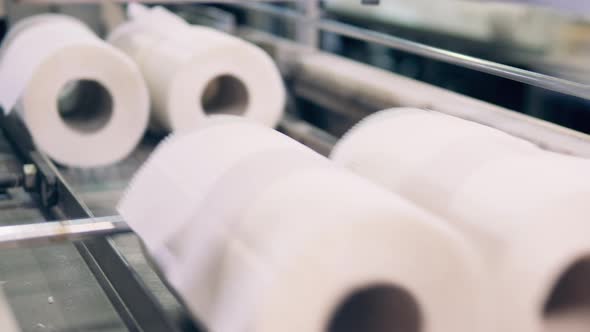 Sets of Toilet Paper Rolls Are Moving Along the Industrial Machine alt