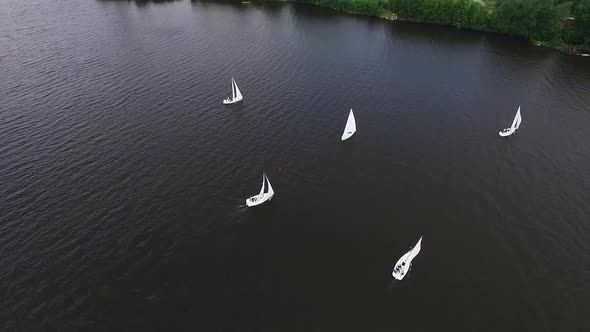 Regatta. Aerial view of Boats on the city pond 19 alt