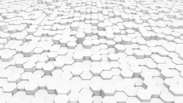 Hexagon white background