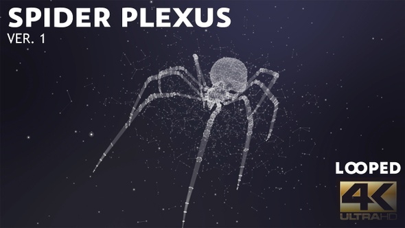 Plexus Spider Ver.1