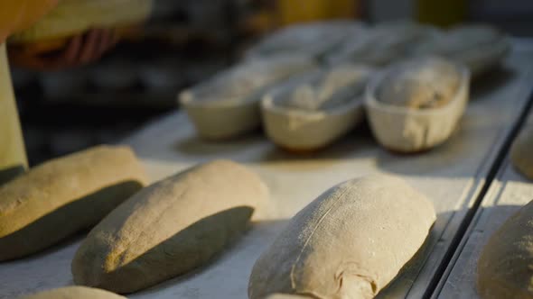 Close View of Baker's Hands Throw Out Freshly Roasted Bread From Baking Dishes alt