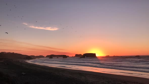 A flock of birds flying at sunset over Bandon Beach. Waves rolling on shore. alt