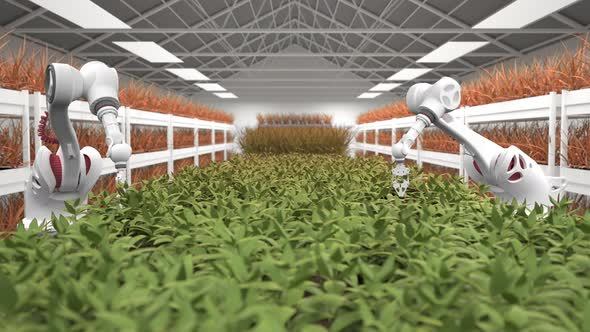 Artificial intelligence grows fresh herbs and vegetables.