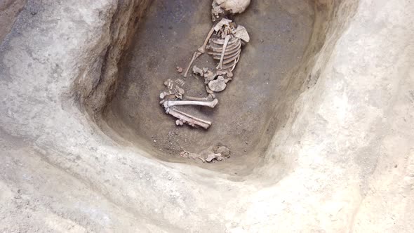 Archaeological excavations. Human remains, bones of skeleton and skulls alt