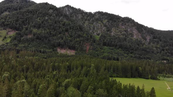Beautiful Landscape with Mountains and Forest alt
