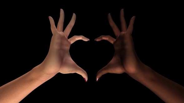 Heart Hands - White and Black - I - Transparent Transition