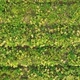 Aerial View Of Farm Agriculture - VideoHive Item for Sale