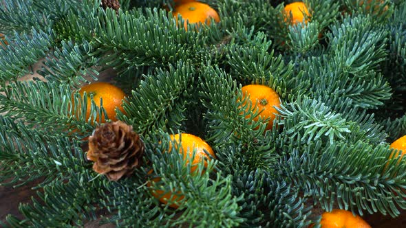 The Abies nobilis branch is on an old wooden vintage board and tangerines alt