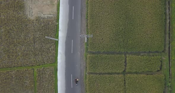 Aerial drone view of a man riding his motocross motorcycle on a road in Bali. alt