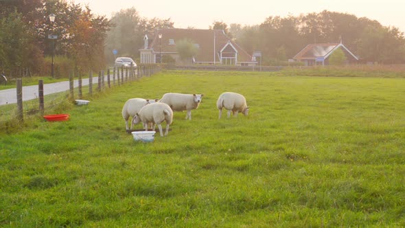 electric public transportation bus in rural countryside alt