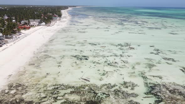 Shore of Zanzibar Island Tanzania at Low Tide alt