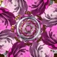 Pink Flowers - VideoHive Item for Sale