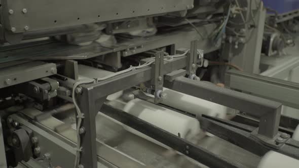 A Working Conveyor in a Paper Mill. Technology. Factory, Kyiv, Ukraine alt