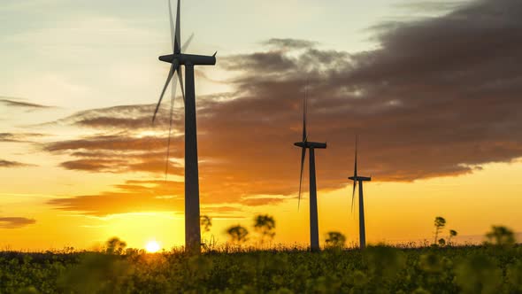 Wind farm time lapse at sunrise